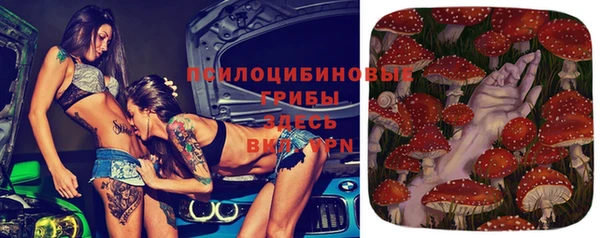 mdpv Баксан